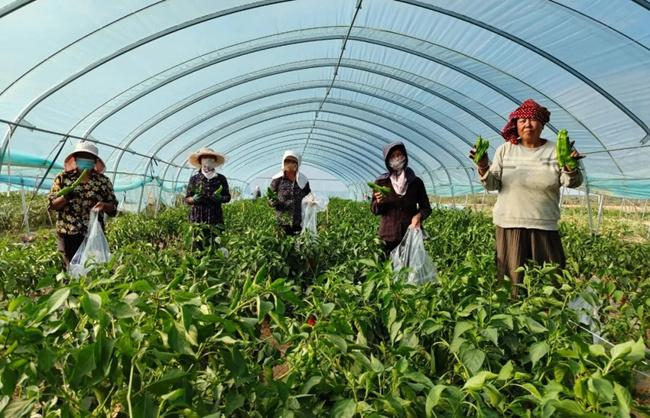 洛南新闻最新动态报道速递