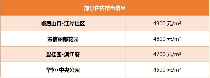 2024年11月6日 第13页