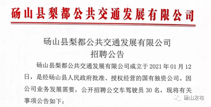 砀山县驾驶员招聘启事，诚邀驾驶人才加入足球大赢家的团队