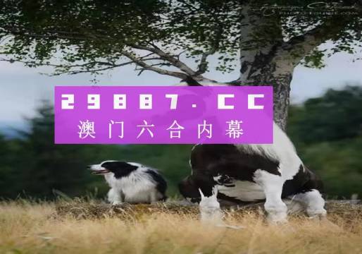 2024新澳门跑狗图今晚特,可靠性策略解析_rx版37.103