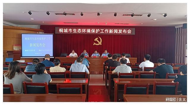 桐城市最新新闻报道速递