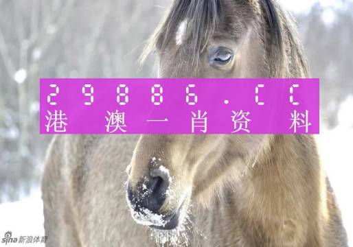一肖一码100%澳门,专业执行问题_kp23.552