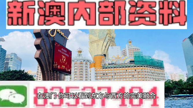 新澳2024正版免费资料,收益解析说明_ct86.710