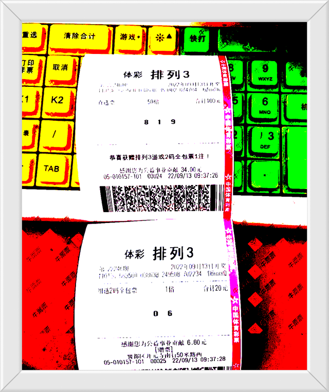 二四六管家婆期期准资料,持久性计划实施_6dm55.439