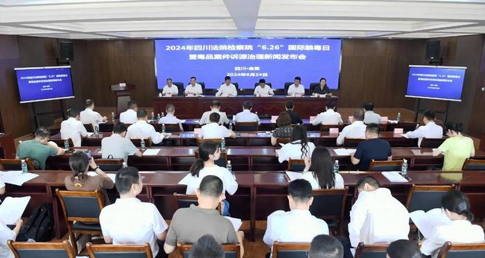 2024年澳门正版资料大全公开,科学研究解释定义_xe版64.874