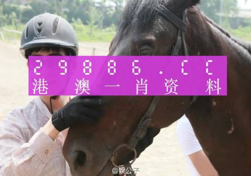 今晚澳门必中一肖一码适囗务目,实地验证数据计划_7dm96.305