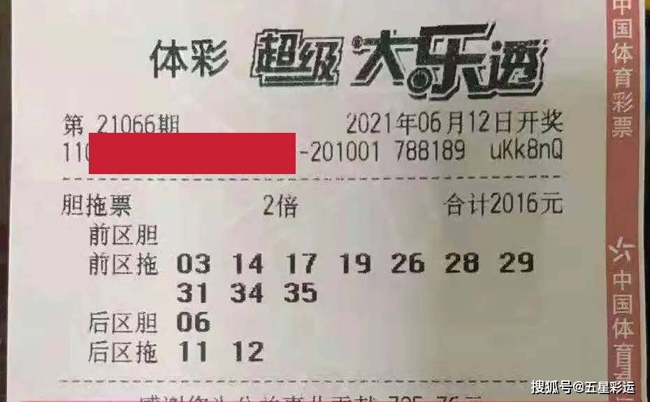 2024新澳天天彩资料免费提供,合理决策执行审查_executive92.729