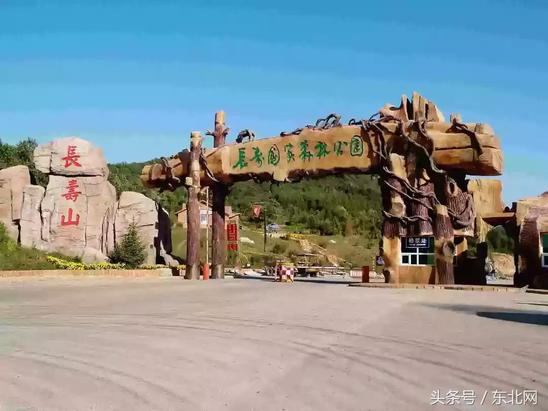投资者关系 第5页
