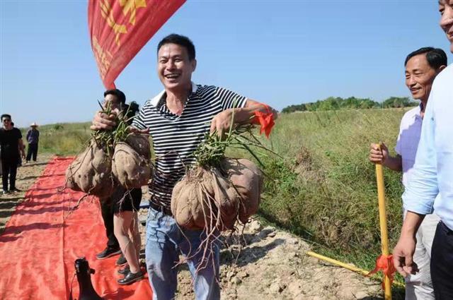 红安余学武最新动态报道
